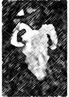  Bodmin Moor Zodiac