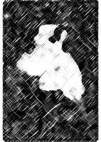  Bodmin Moor Zodiac